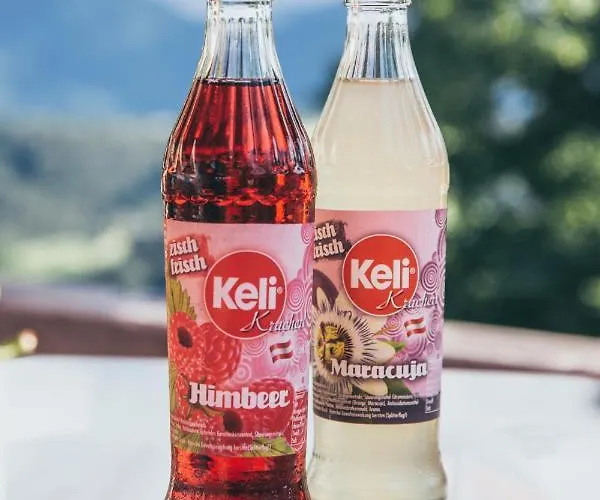 Aparthotel Gmundnerberghaus - Altmünster